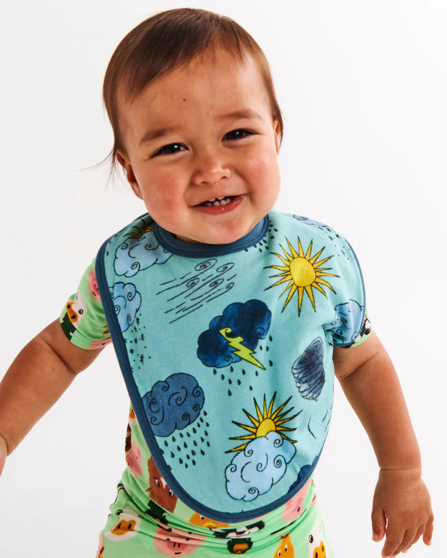 Weather Report Organic Cotton Bib